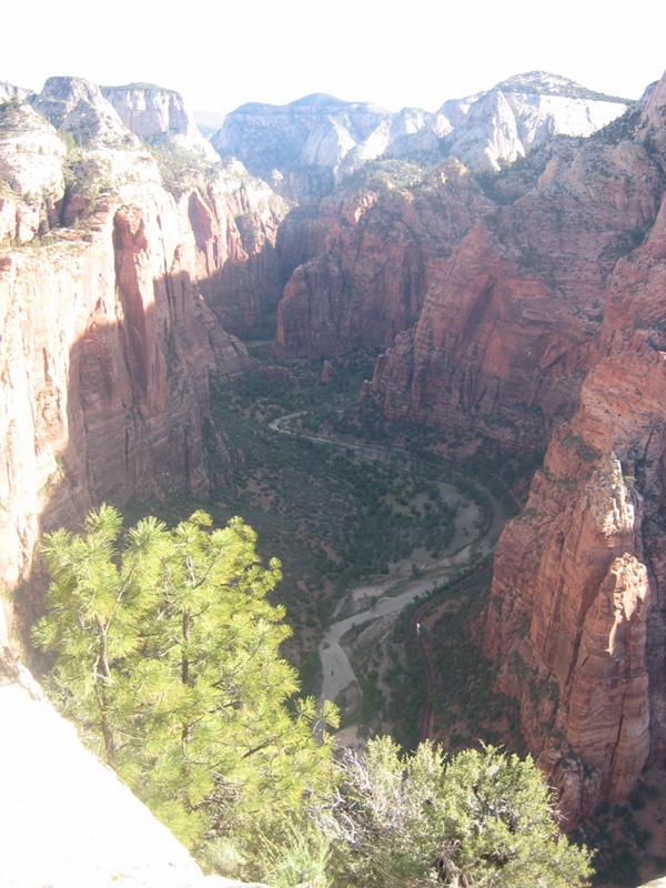 View Up Canyon from Angels Landing