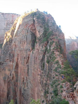 Trail to Angel's Landing
